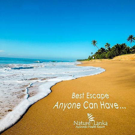 Nature Lanka Ayurveda Resort - All Meals And Ayurveda Treatments With Yoga Tangalle Exterior foto