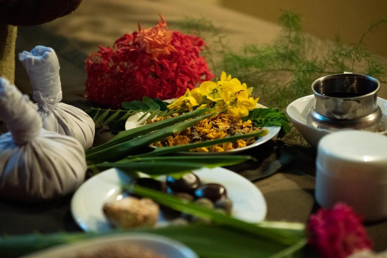 Nature Lanka Ayurveda Resort - All Meals And Ayurveda Treatments With Yoga Tangalle Exterior foto