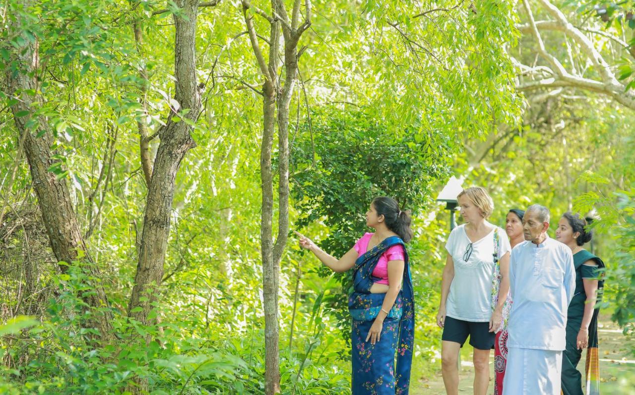 Nature Lanka Ayurveda Resort - All Meals And Ayurveda Treatments With Yoga Tangalle Exterior foto