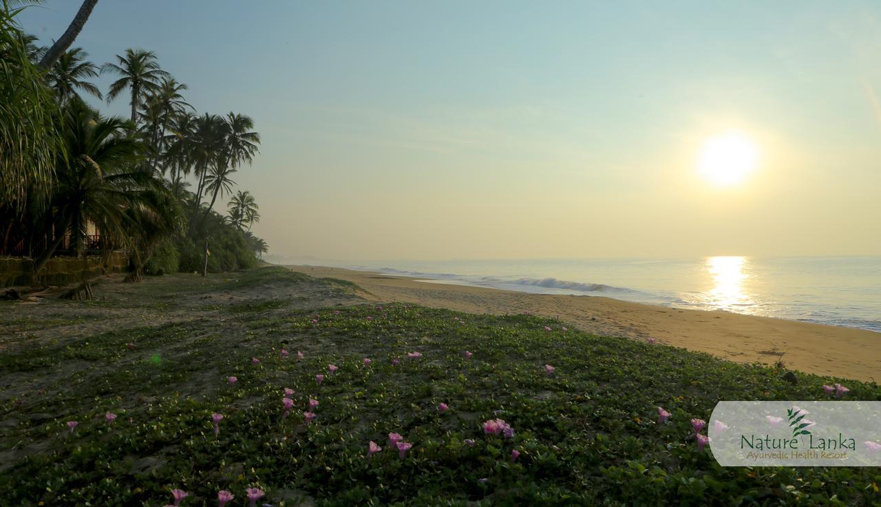 Nature Lanka Ayurveda Resort - All Meals And Ayurveda Treatments With Yoga Tangalle Exterior foto